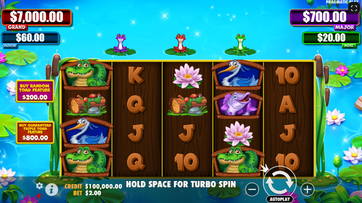 Tiny Toads base game